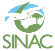 Costa Rica Coral Restoration Logo